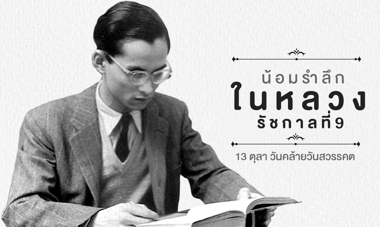 Study Online64